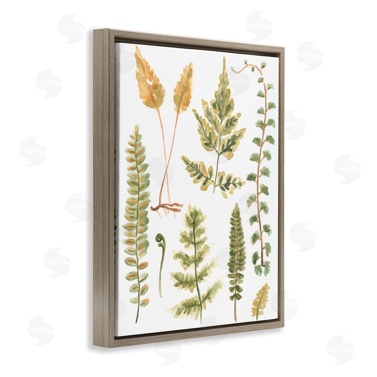 Varied Fern Leaves Brown Floating Frame Canvas Wall Art, Home Decor by June Erica Vess
