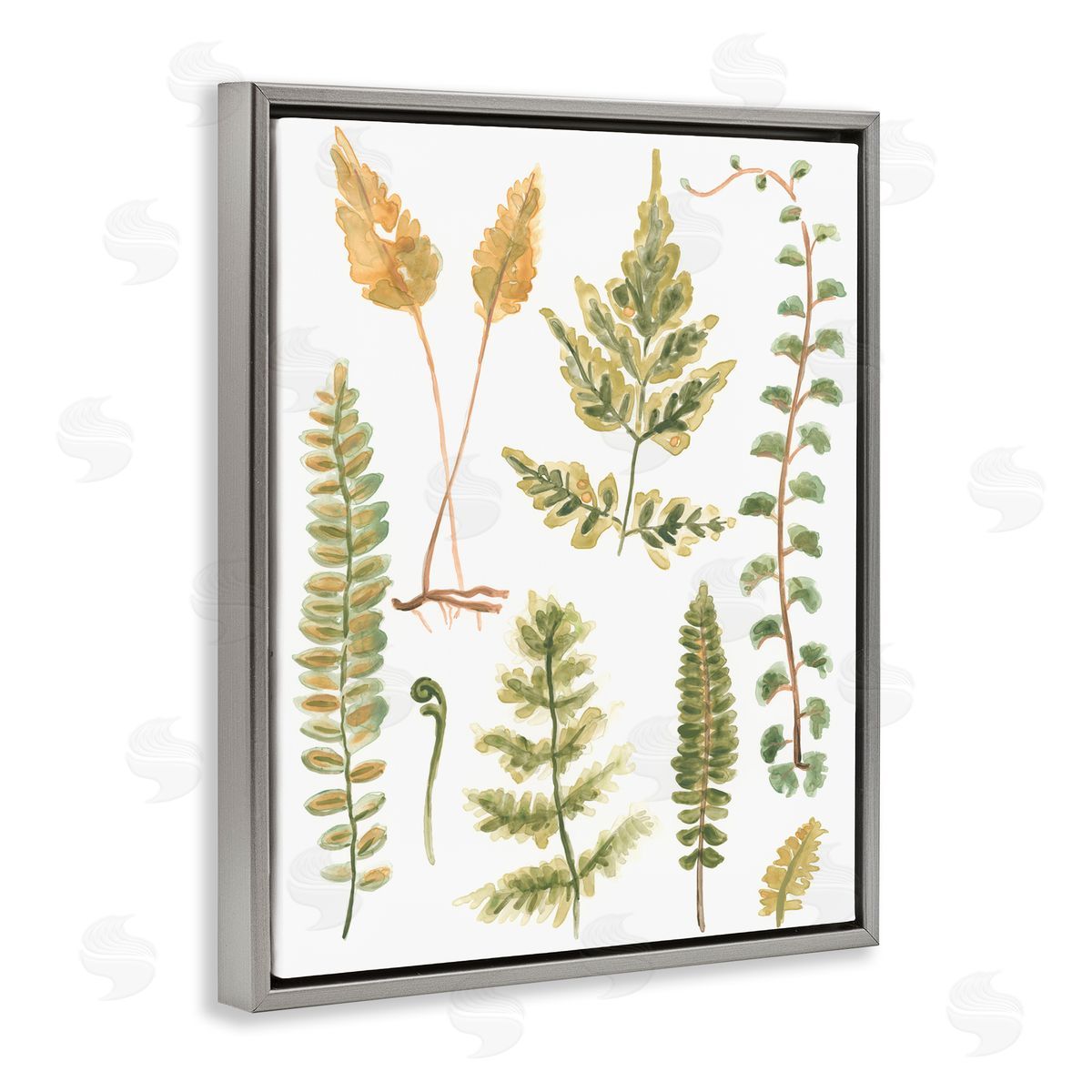 Varied Fern Leaves Grey Floating Frame Canvas Wall Art, Home Decor by June Erica Vess