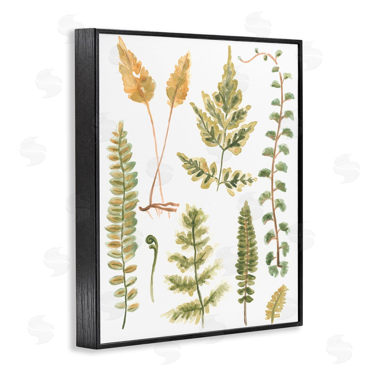 Varied Fern Leaves Black Frame Print Wall Art, Home Decor by June Erica Vess