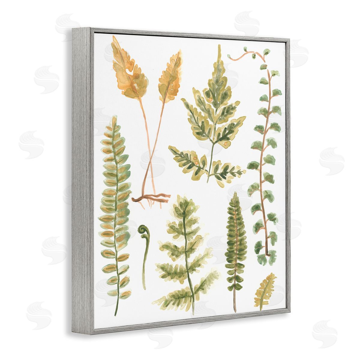 Varied Fern Leaves Grey Frame Print Wall Art, Home Decor by June Erica Vess