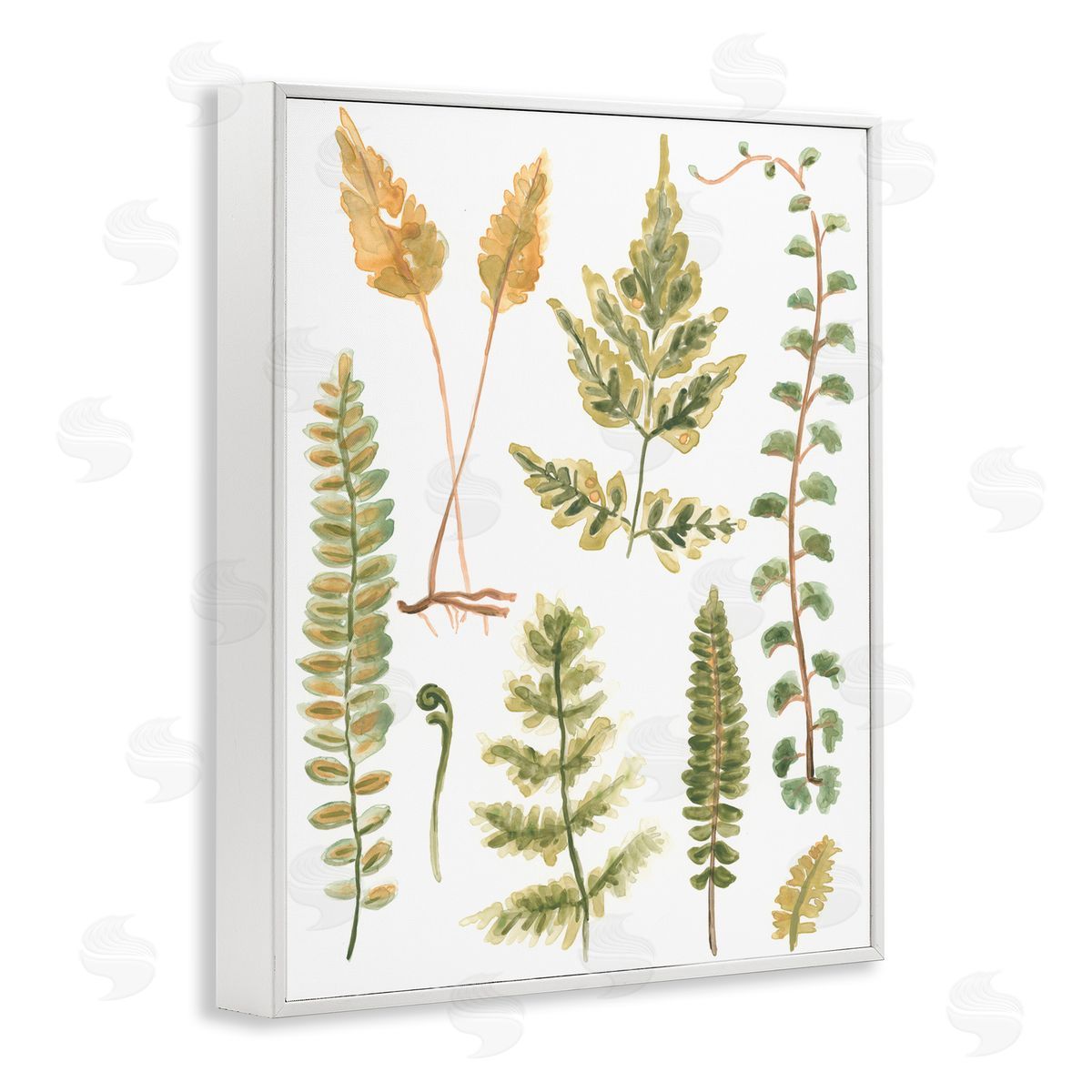 Varied Fern Leaves White Frame Print Wall Art, Home Decor by June Erica Vess