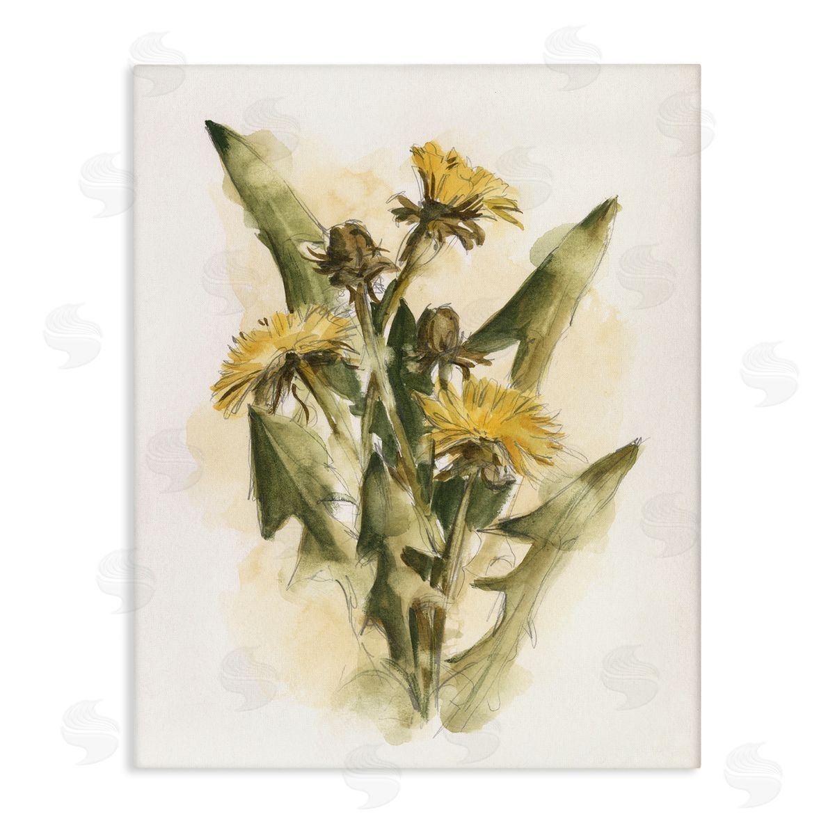 Cottage Buttercup Flowers Canvas Wall Art, Home Decor by Ethan Harper