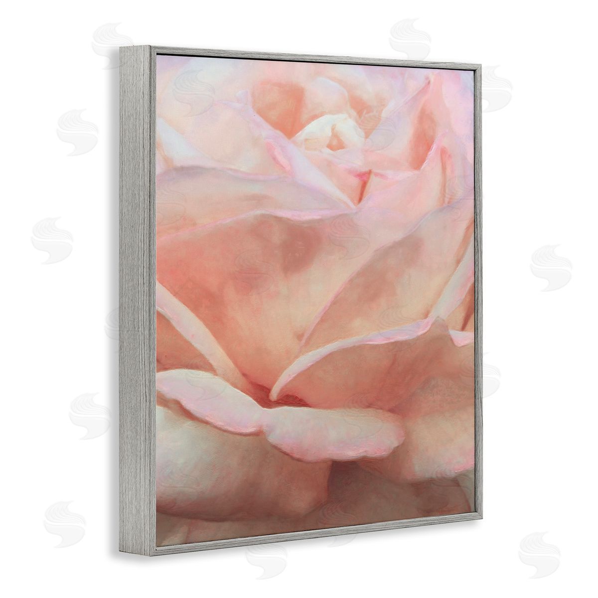 Soft Rose Petals Grey Frame Print Wall Art, Home Decor by Alonzo Saunders