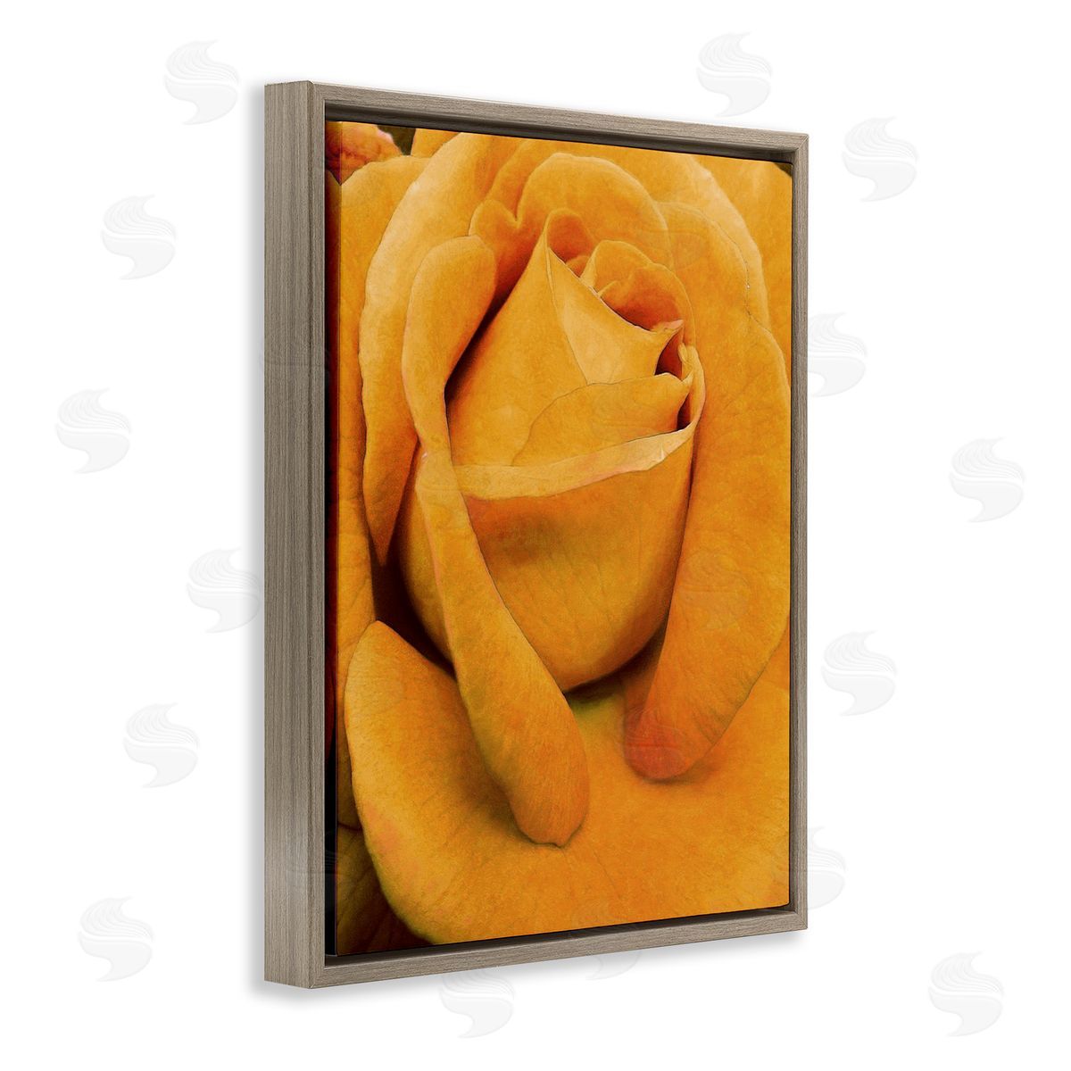 Yellow Rose Close Up Brown Floating Frame Canvas Wall Art, Home Decor by Alonzo Saunders