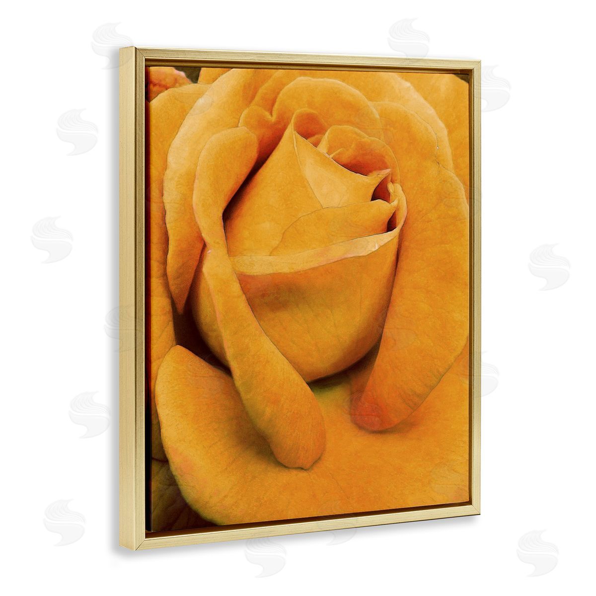 Yellow Rose Close Up Gold Floating Frame Canvas Wall Art, Home Decor by Alonzo Saunders