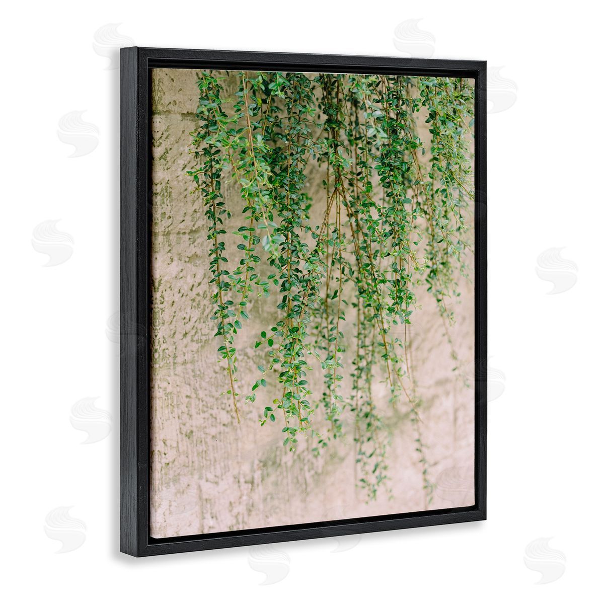Hanging Ivy Vines Black Floating Frame Canvas Wall Art, Home Decor by Justine Milton