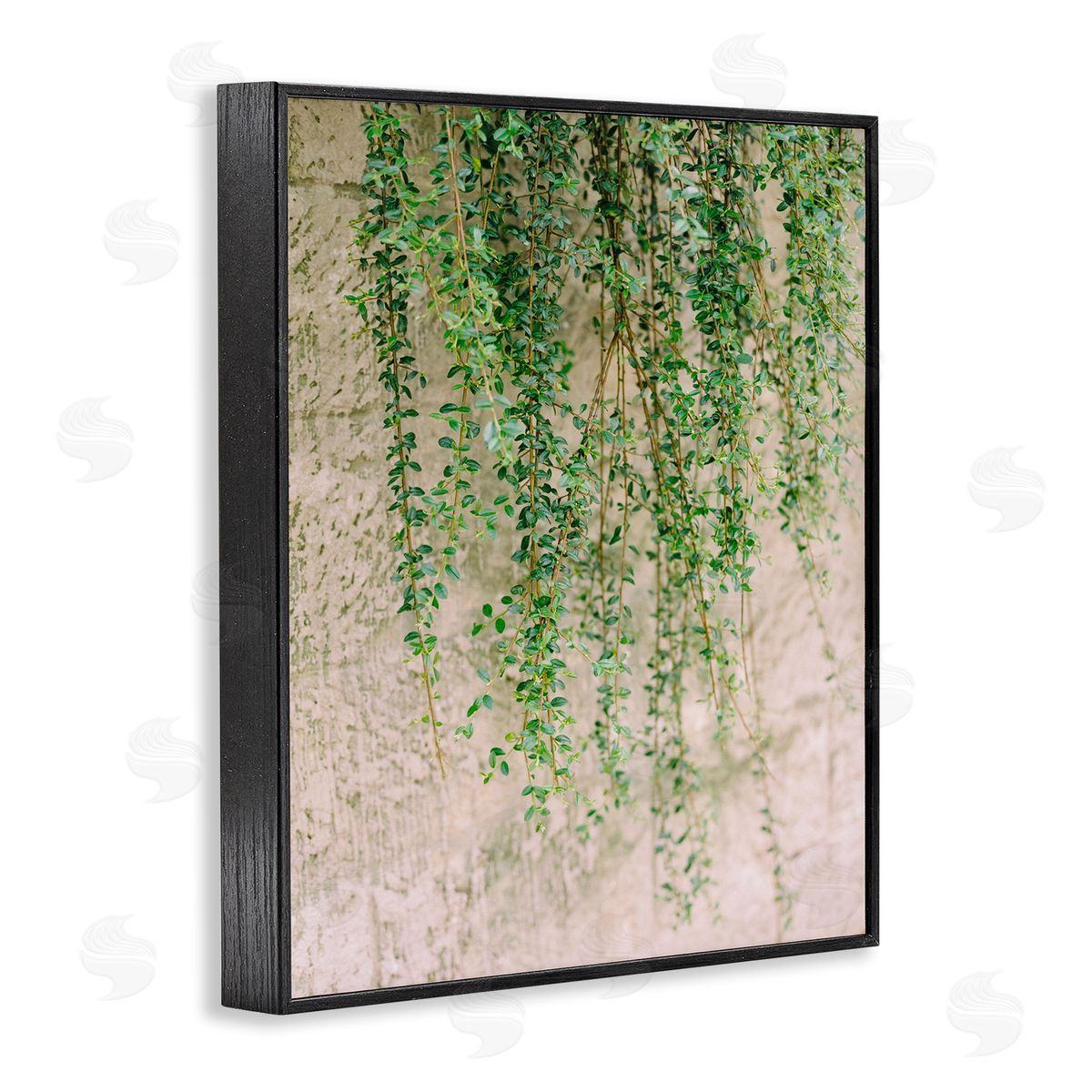 Hanging Ivy Vines Black Frame Print Wall Art, Home Decor by Justine Milton