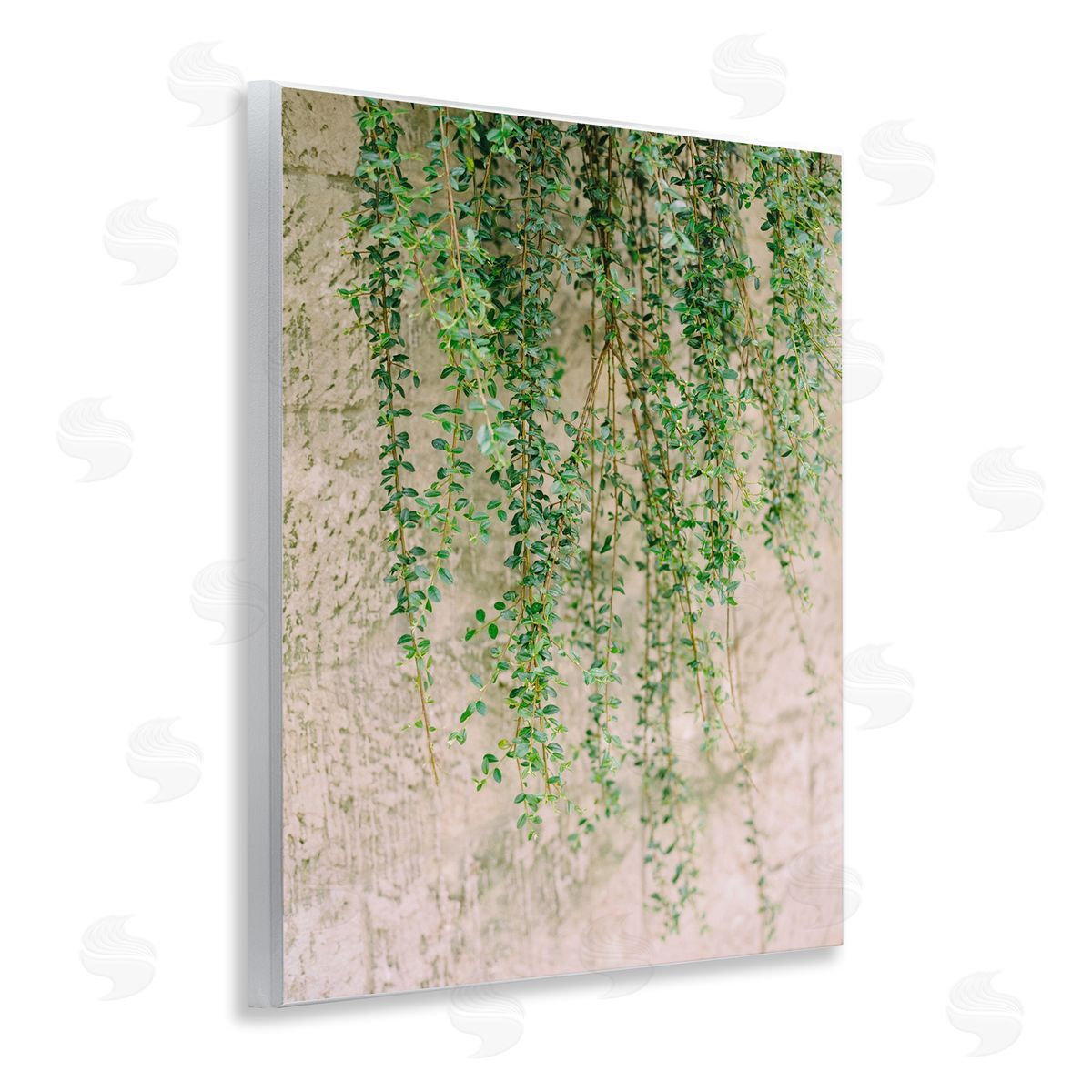 Hanging Ivy Vines Wood Plaque Wall Art, Home Decor by Justine Milton