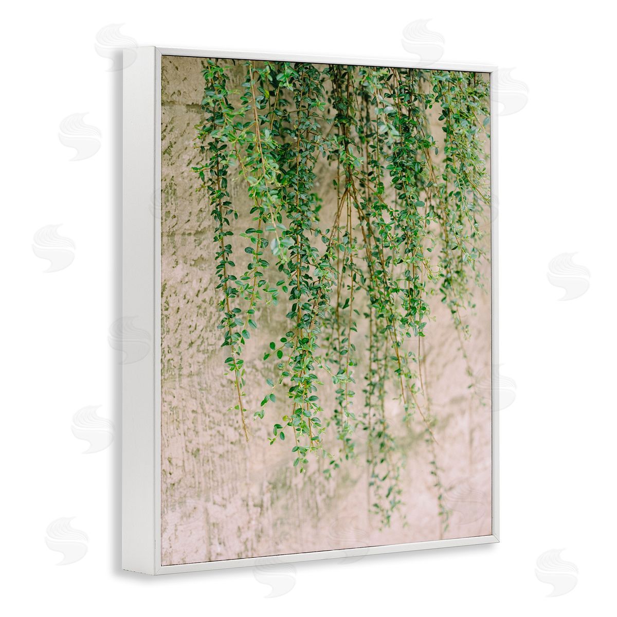 Hanging Ivy Vines White Frame Print Wall Art, Home Decor by Justine Milton