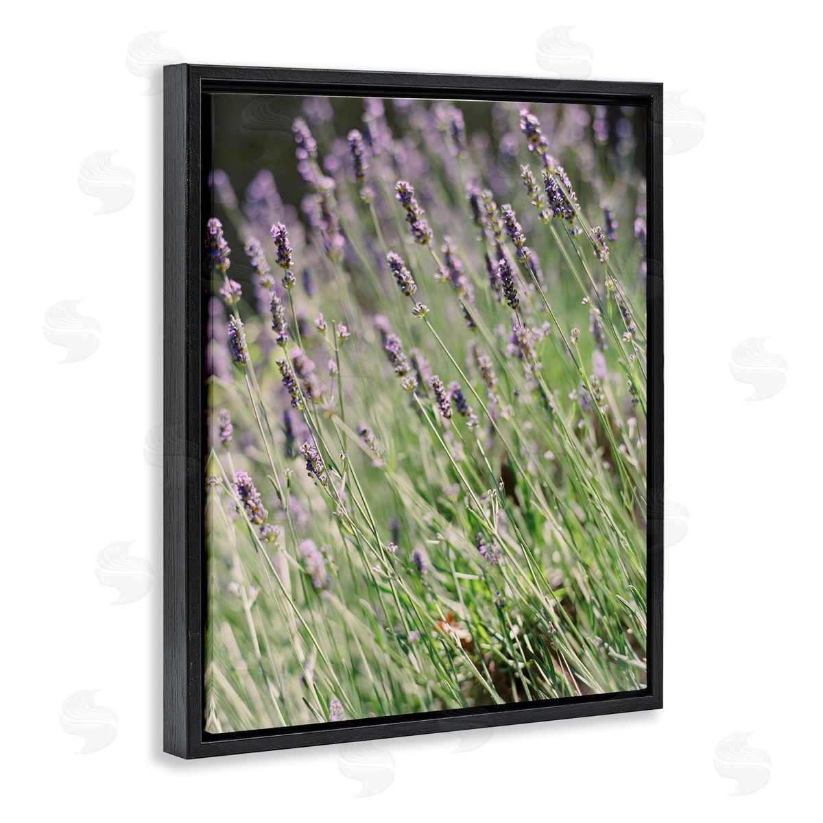 Country Lilac Garden Black Floating Frame Canvas Wall Art, Home Decor by Justine Milton