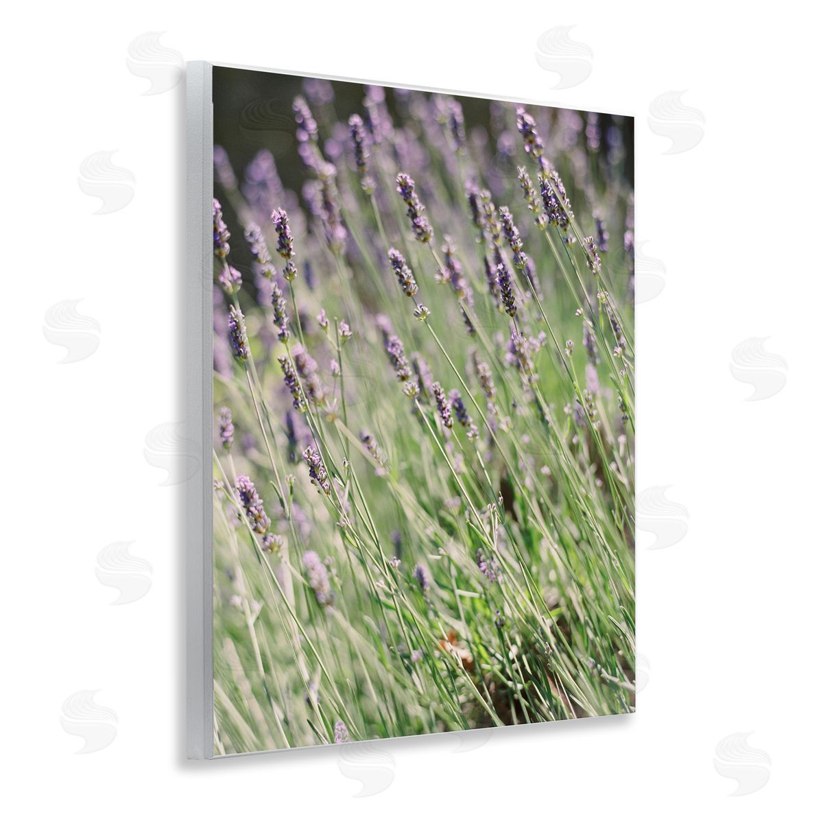 Country Lilac Garden Wood Plaque Wall Art, Home Decor by Justine Milton