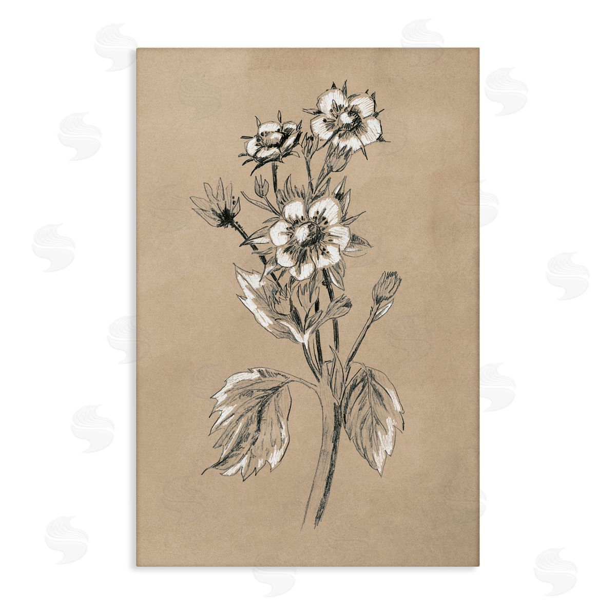 Apple Blossom Drawing Canvas Wall Art, Home Decor by June Erica Vess