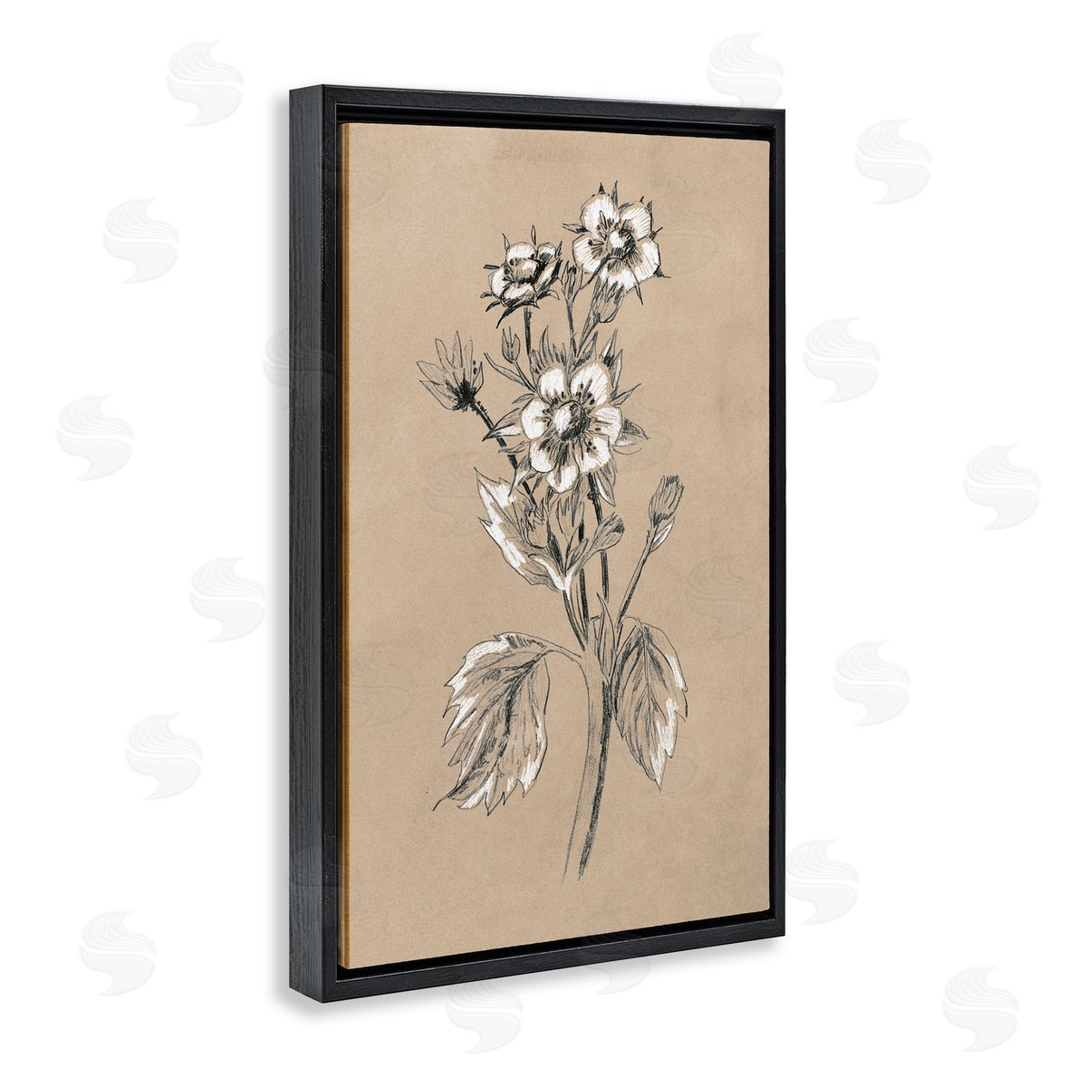 Apple Blossom Drawing Black Floating Frame Canvas Wall Art, Home Decor by June Erica Vess
