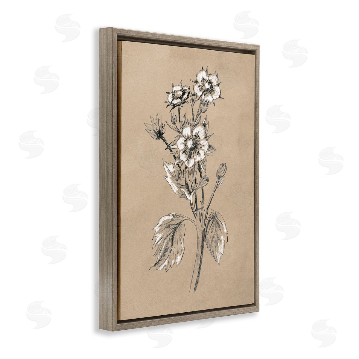 Apple Blossom Drawing Brown Floating Frame Canvas Wall Art, Home Decor by June Erica Vess