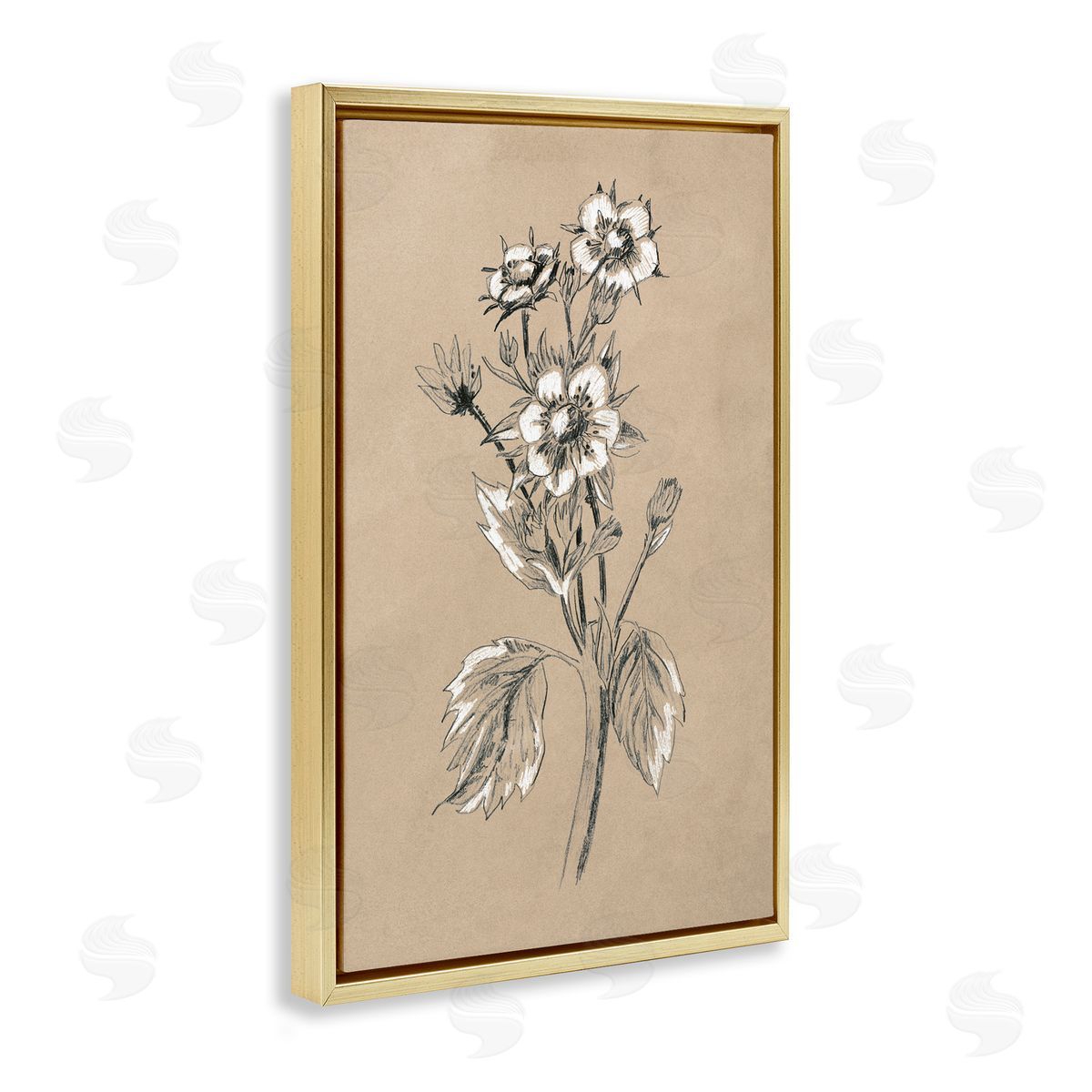 Apple Blossom Drawing Gold Floating Frame Canvas Wall Art, Home Decor by June Erica Vess