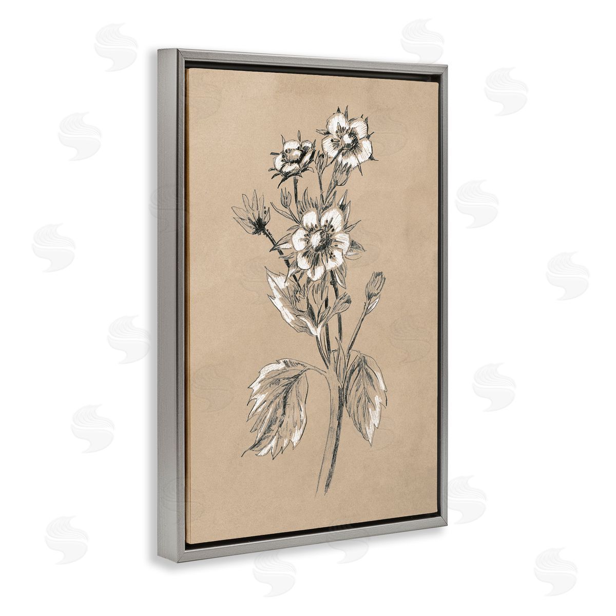 Apple Blossom Drawing Grey Floating Frame Canvas Wall Art, Home Decor by June Erica Vess