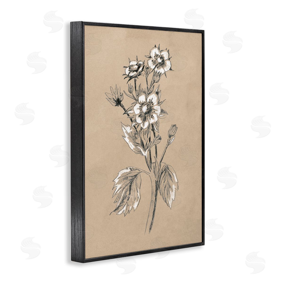 Apple Blossom Drawing Black Frame Print Wall Art, Home Decor by June Erica Vess