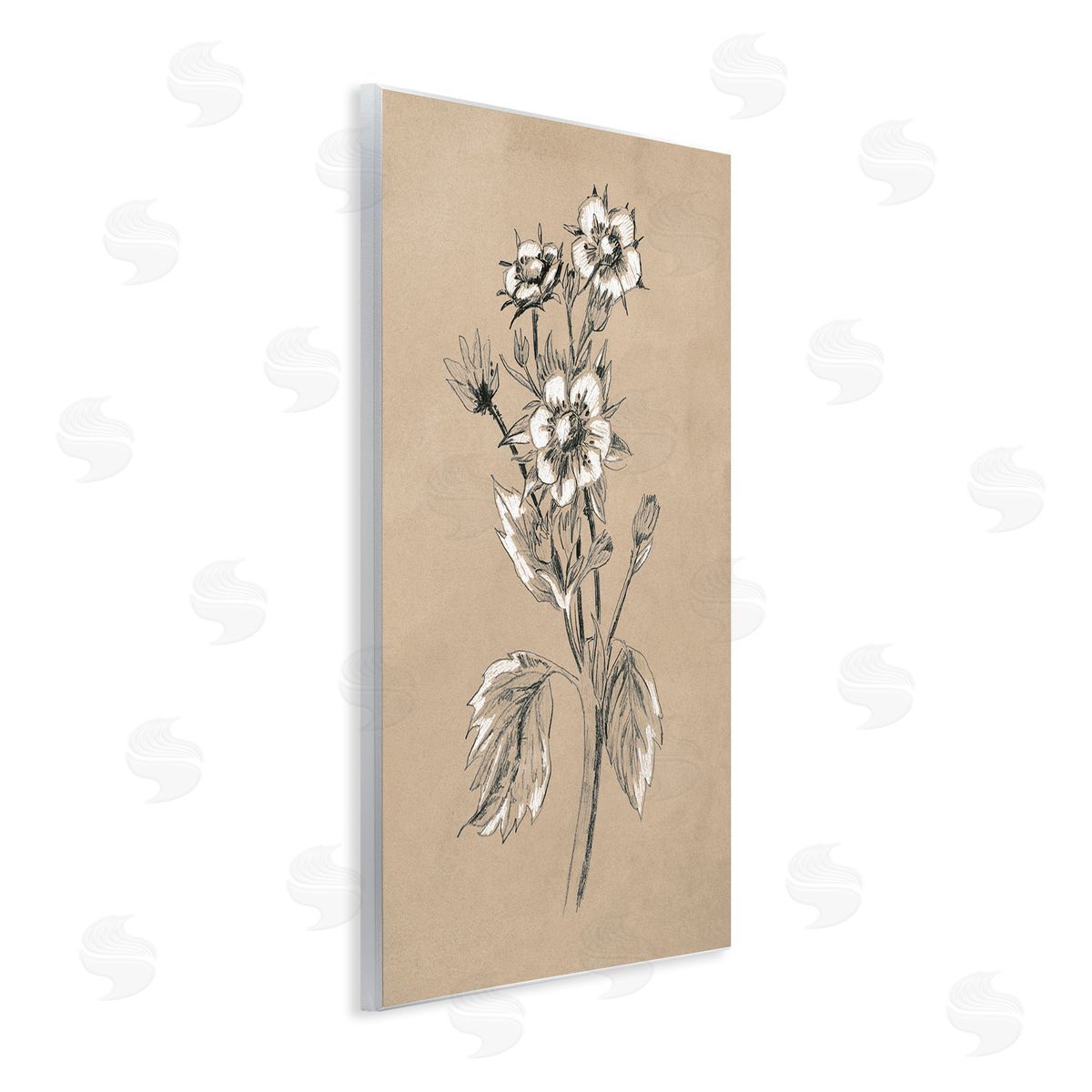 Apple Blossom Drawing Wood Plaque Wall Art, Home Decor by June Erica Vess