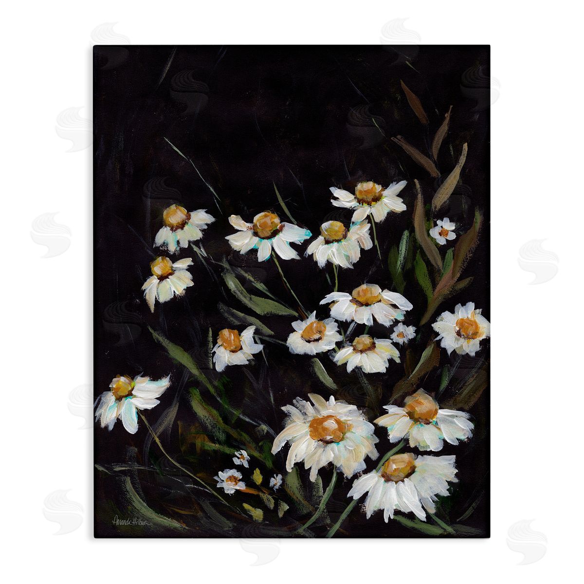 Daisies on Black Canvas Wall Art, Home Decor by Amanda Hilburn