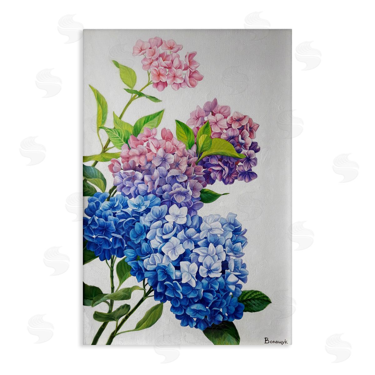 Detailed Hydrangea Gradient Canvas Wall Art, Home Decor by Myroslava Voloschuk