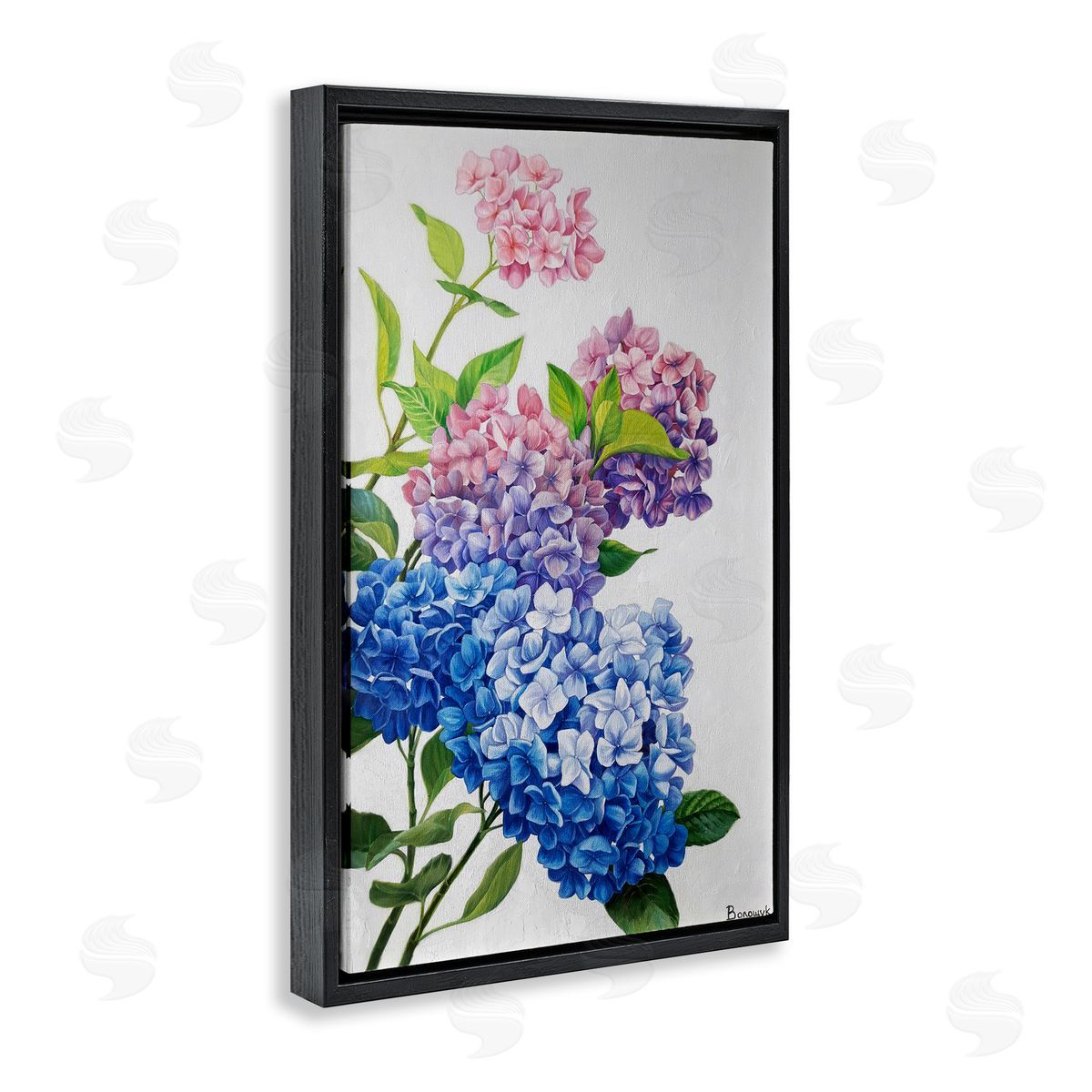 Detailed Hydrangea Gradient Black Floating Frame Canvas Wall Art, Home Decor by Myroslava Voloschuk