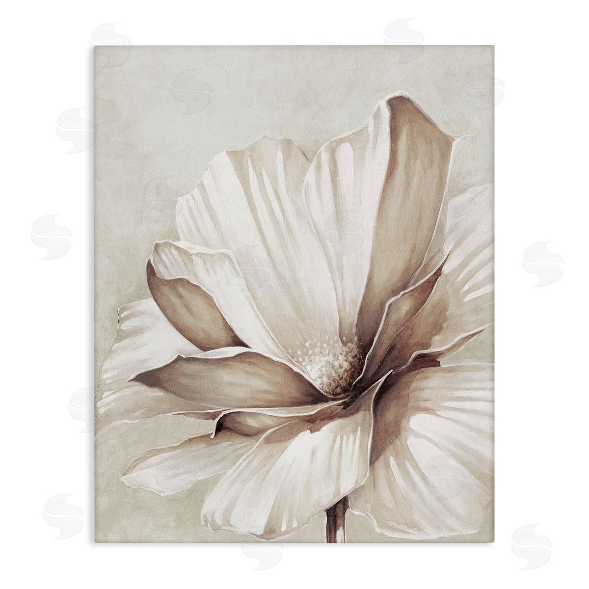 White Flower Petals Canvas Wall Art, Home Decor by Cloverfield and Co.