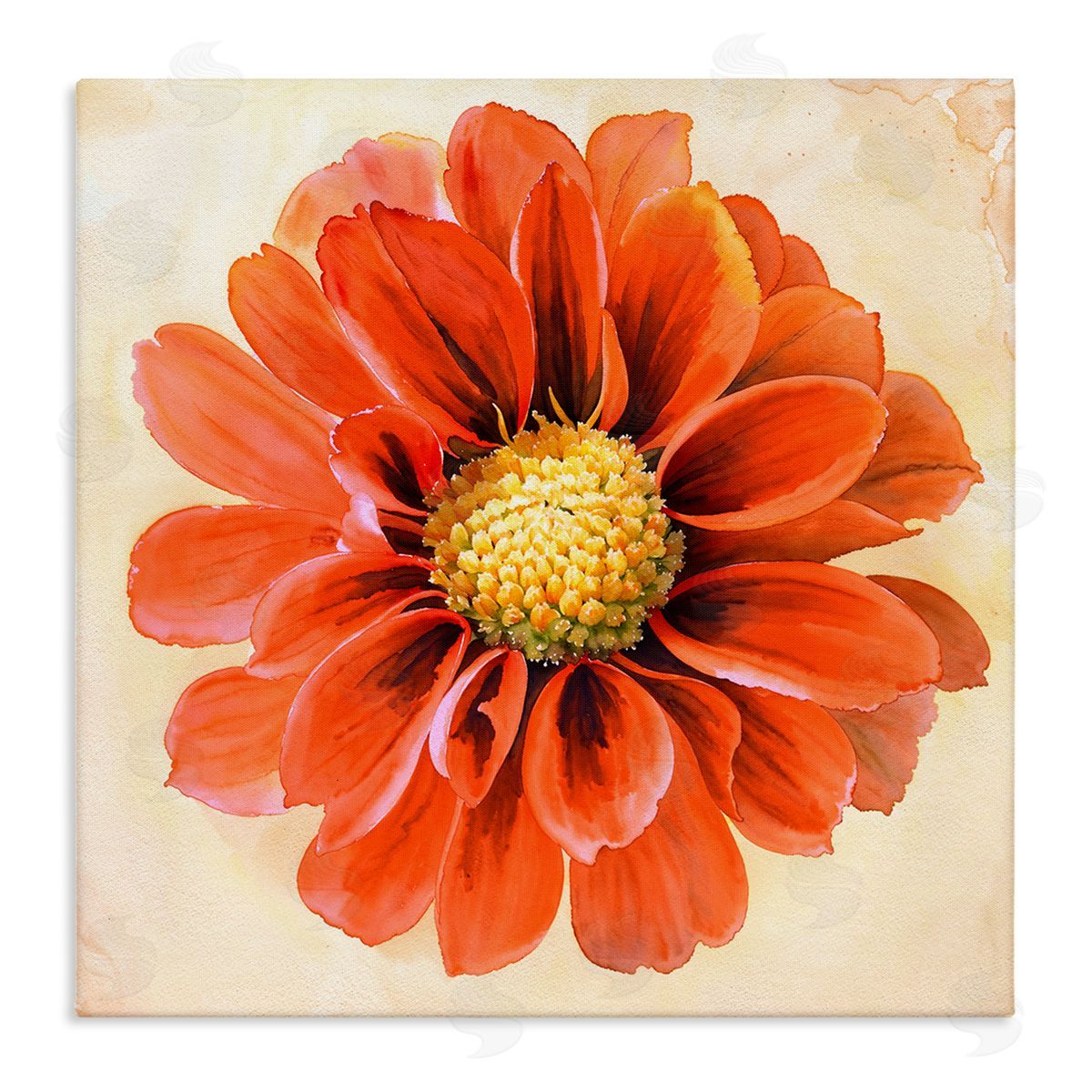 Christine Zalewski Orange Dahlia Bloom Canvas Wall Art Print