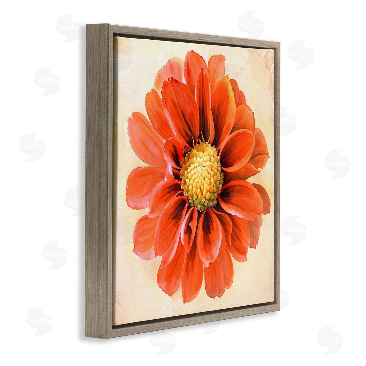 Christine Zalewski Orange Dahlia Bloom Brown Floating Frame Canvas Wall Art Print