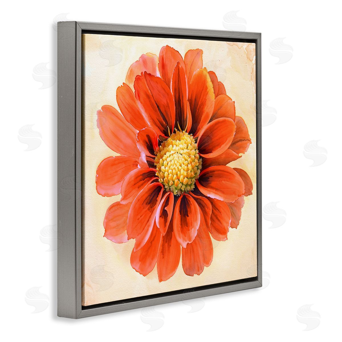 Christine Zalewski Orange Dahlia Bloom Gray Floating Frame Canvas Wall Art Print