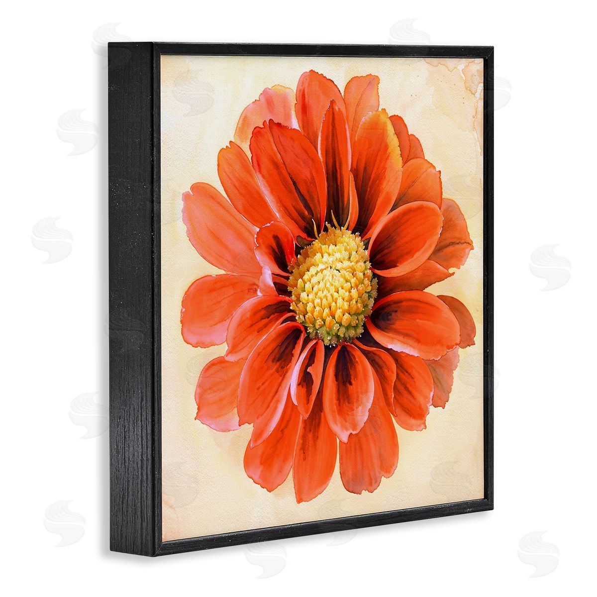 Christine Zalewski Orange Dahlia Bloom Black Framed Giclee Wall Art Print