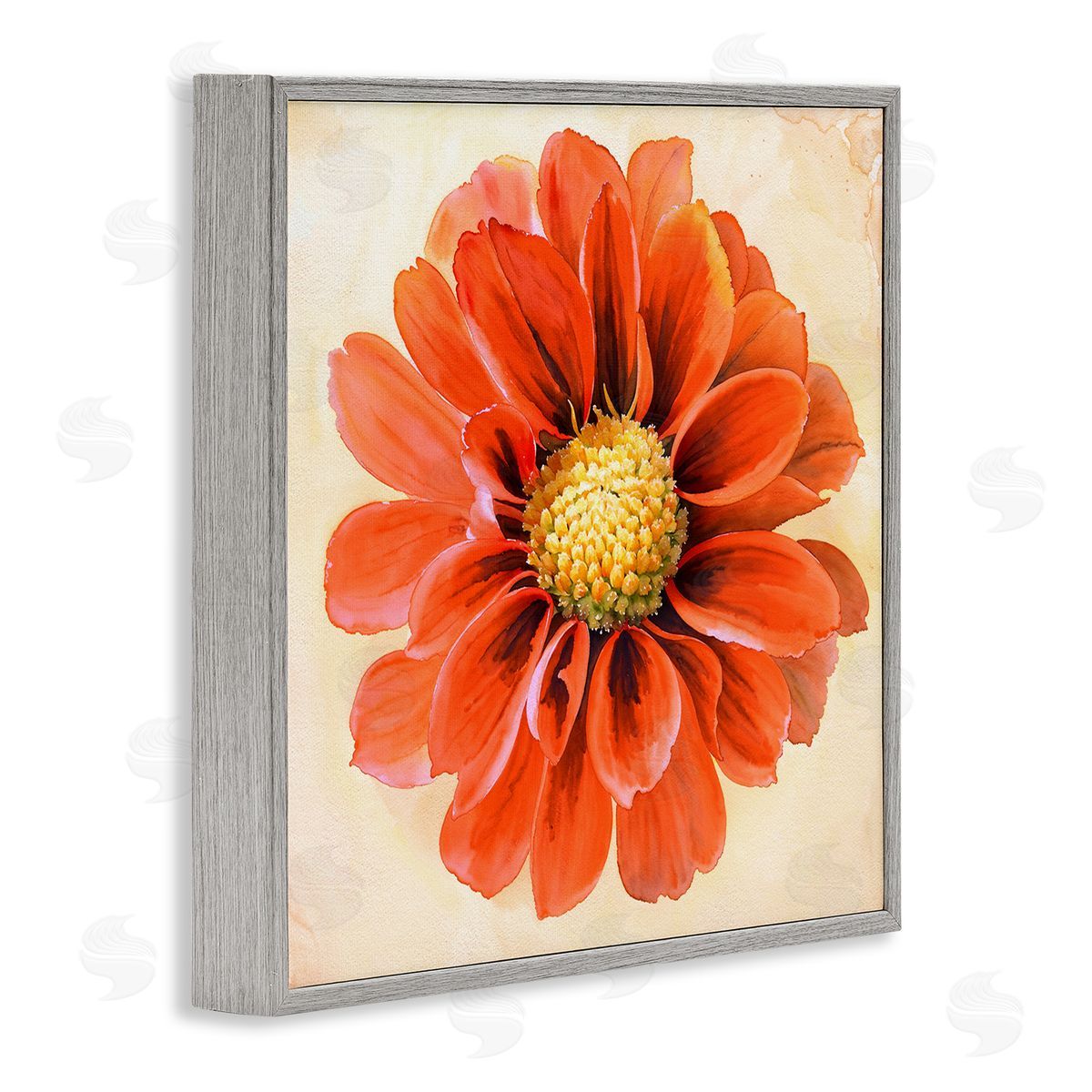 Christine Zalewski Orange Dahlia Bloom Gray Framed Giclee Wall Art Print