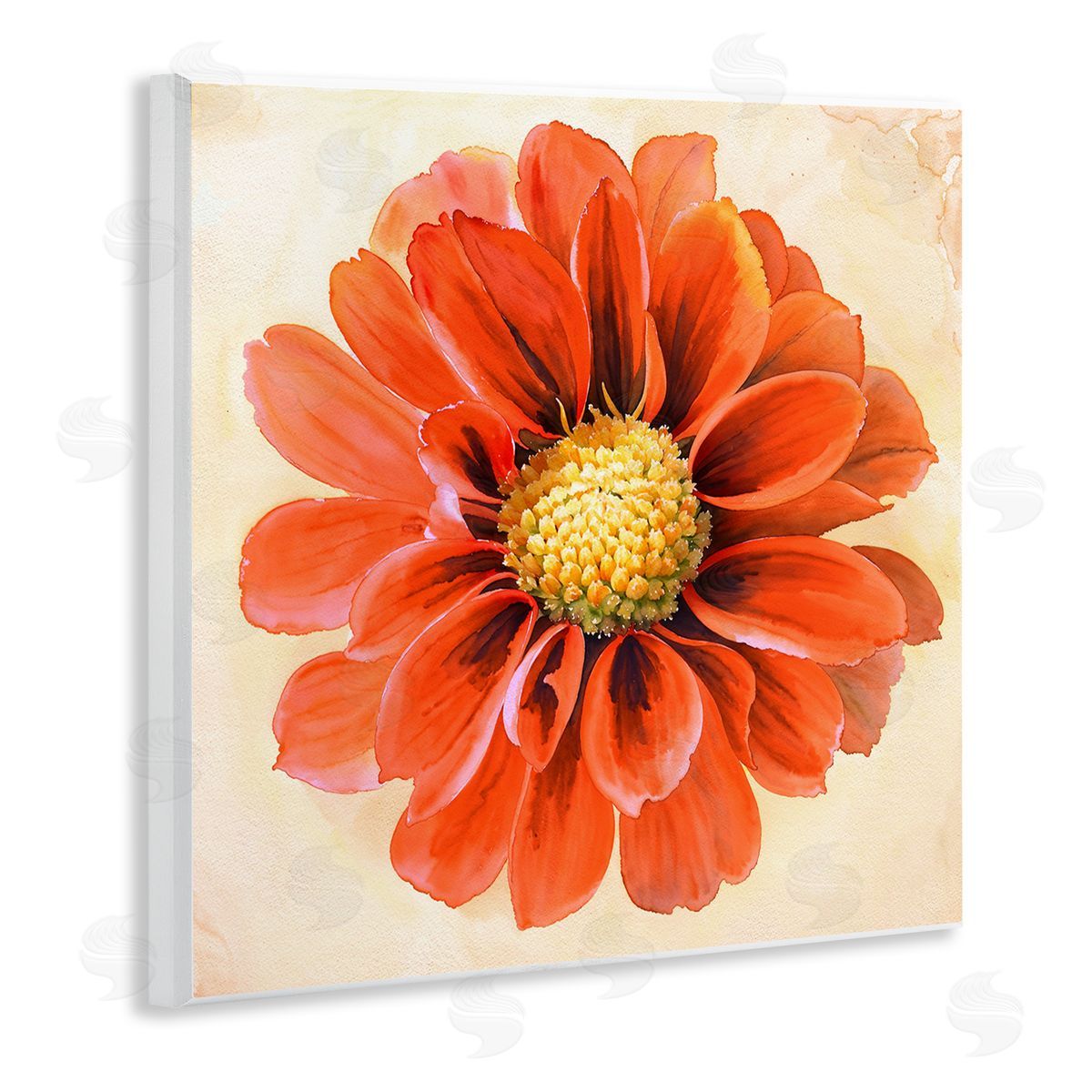 Christine Zalewski Orange Dahlia Bloom Wooden Wall Plaque Art Print