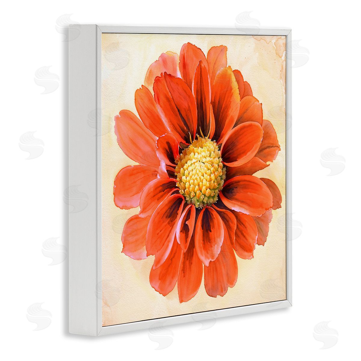 Christine Zalewski Orange Dahlia Bloom White Framed Giclee Wall Art Print