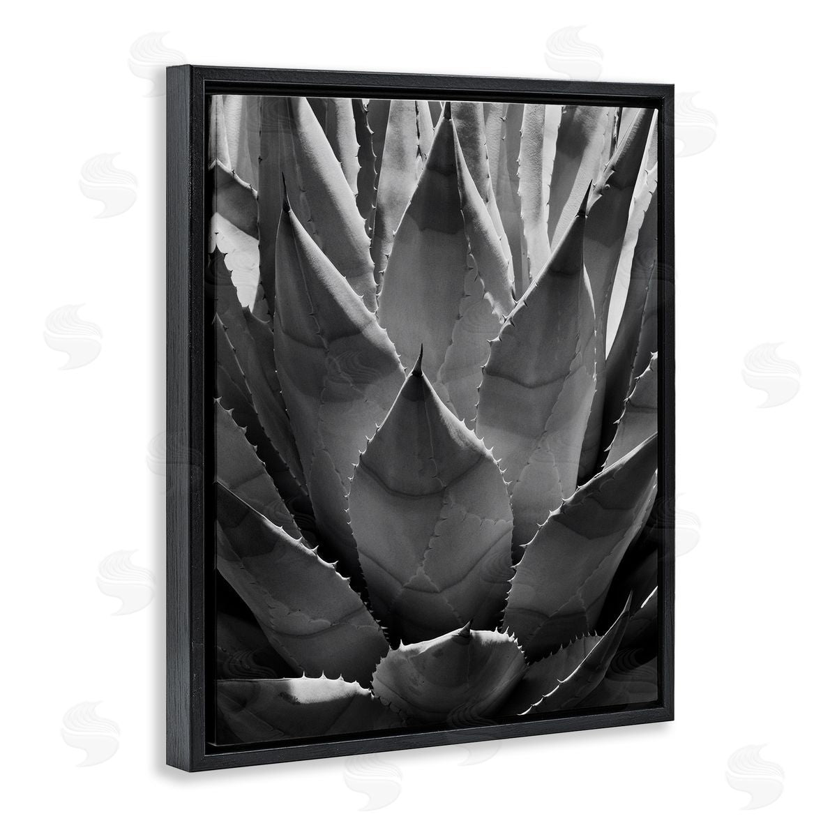 Desert Plant Detail Black Floating Frame Canvas Wall Art, Home Decor by Chip Forelli