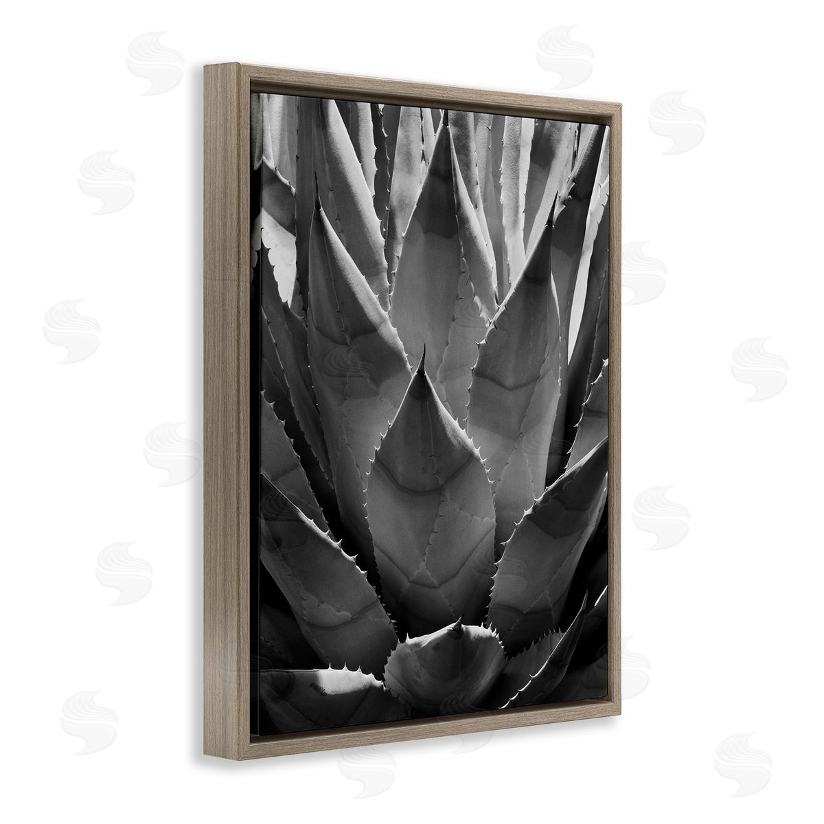 Desert Plant Detail Brown Floating Frame Canvas Wall Art, Home Decor by Chip Forelli