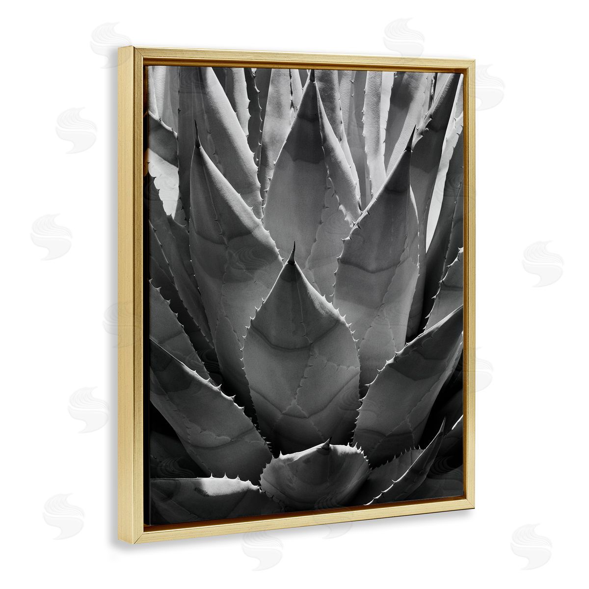 Desert Plant Detail Gold Floating Frame Canvas Wall Art, Home Decor by Chip Forelli
