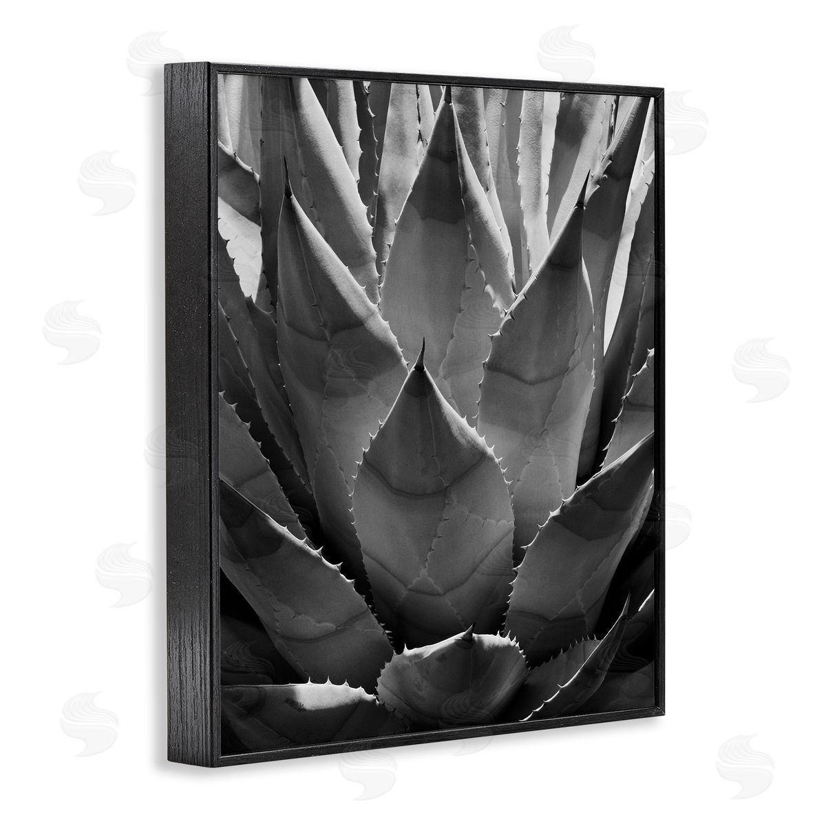 Desert Plant Detail Black Frame Print Wall Art, Home Decor by Chip Forelli