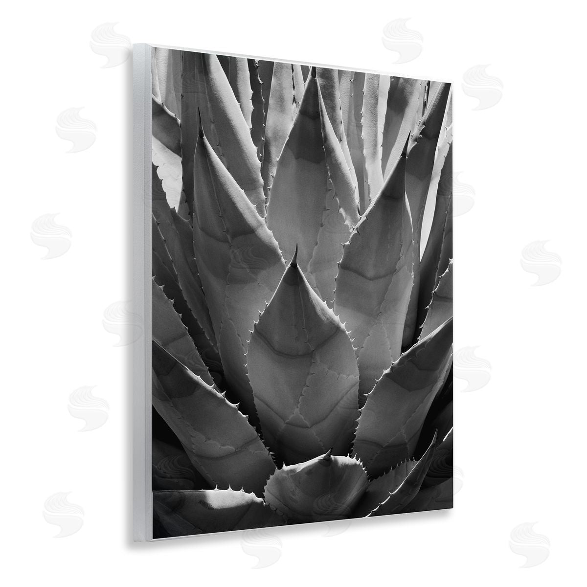 Desert Plant Detail Wood Plaque Wall Art, Home Decor by Chip Forelli