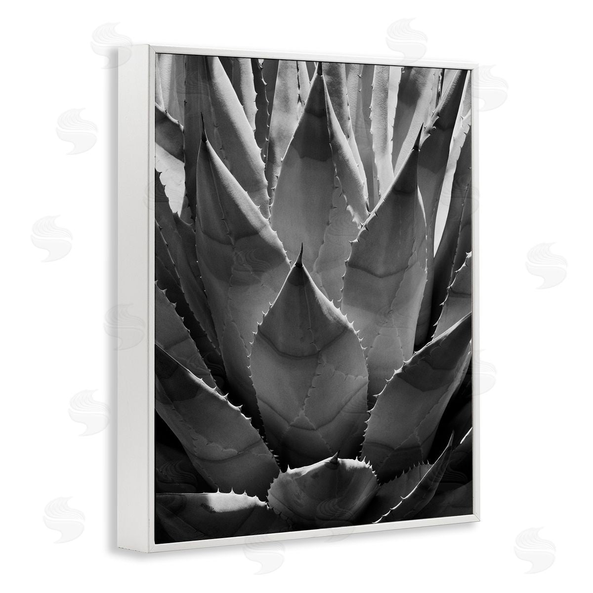 Desert Plant Detail White Frame Print Wall Art, Home Decor by Chip Forelli