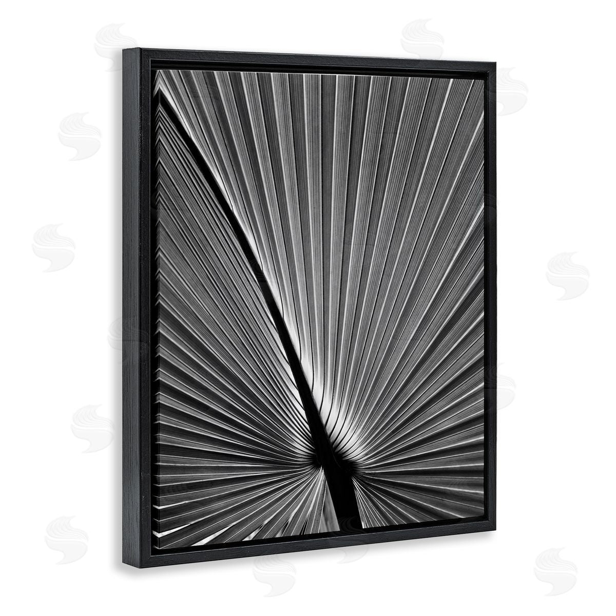 Palm Frond Detail Black Floating Frame Canvas Wall Art, Home Decor by Chip Forelli