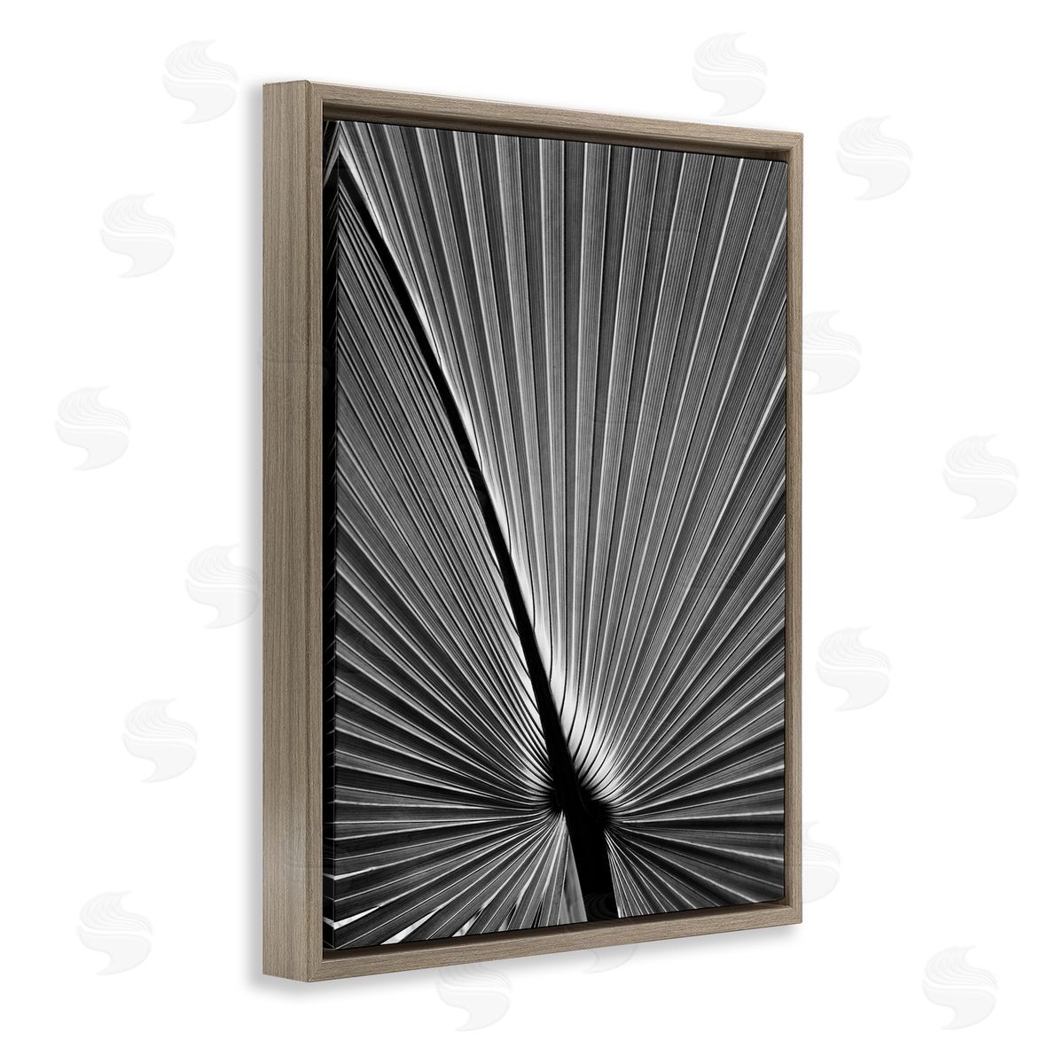 Palm Frond Detail Brown Floating Frame Canvas Wall Art, Home Decor by Chip Forelli