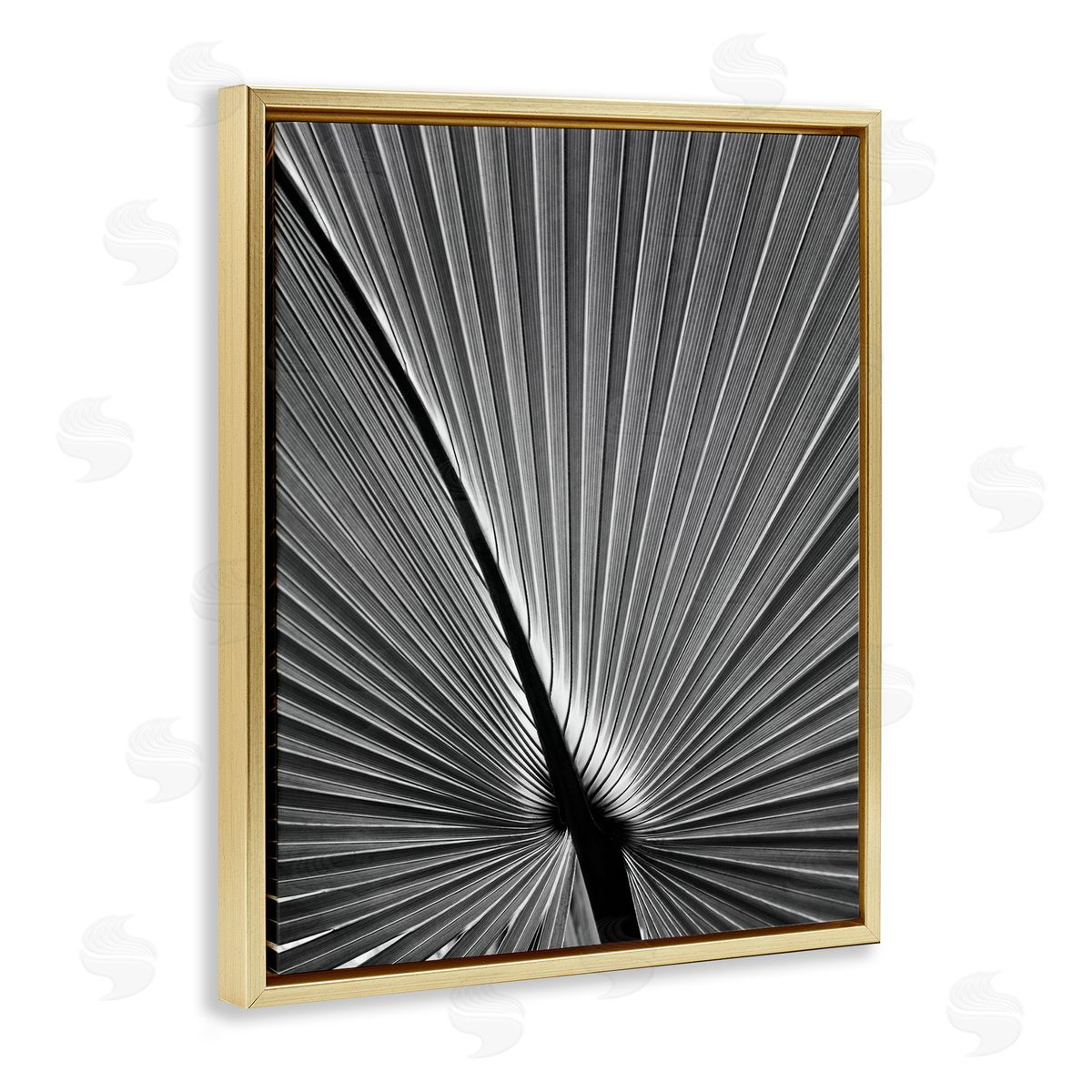 Palm Frond Detail Gold Floating Frame Canvas Wall Art, Home Decor by Chip Forelli