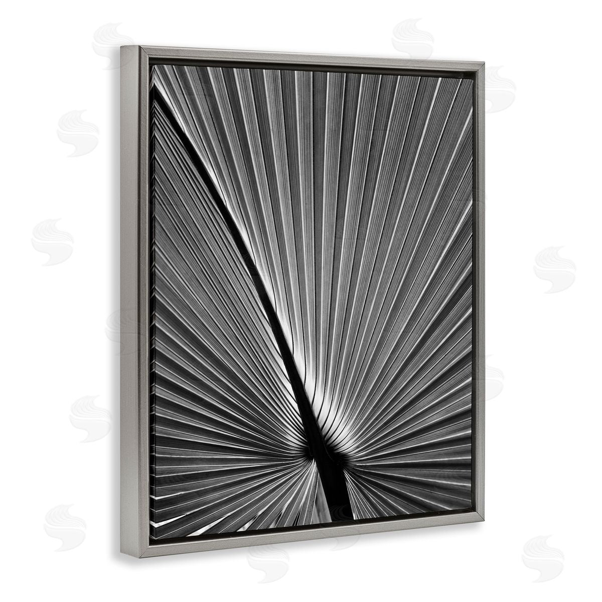 Palm Frond Detail Grey Floating Frame Canvas Wall Art, Home Decor by Chip Forelli