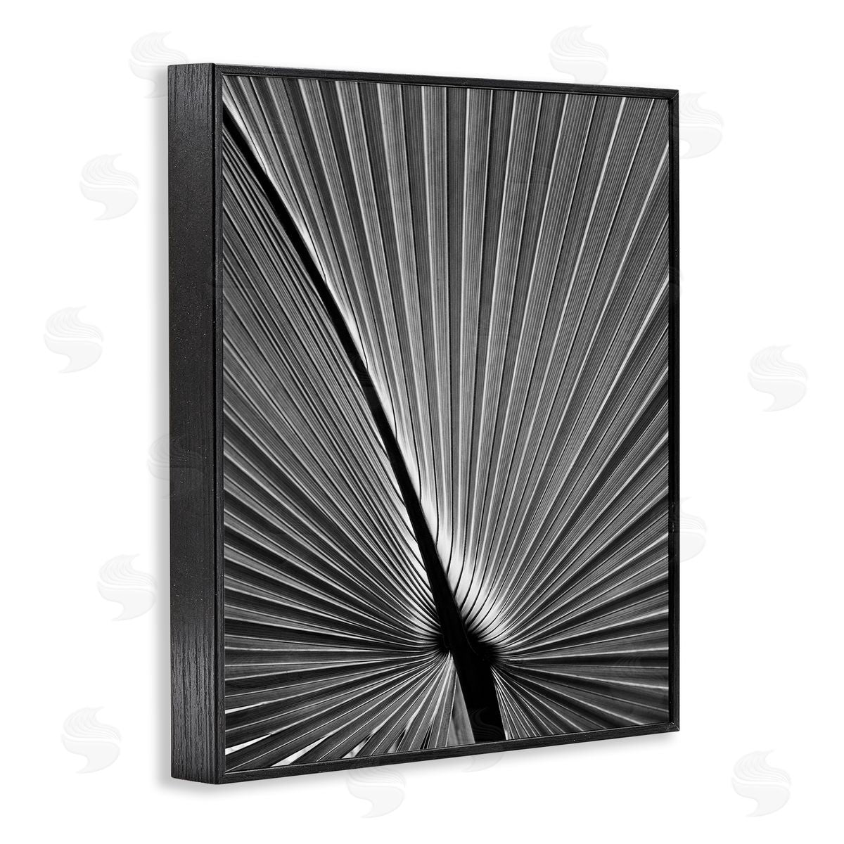 Palm Frond Detail Black Frame Print Wall Art, Home Decor by Chip Forelli