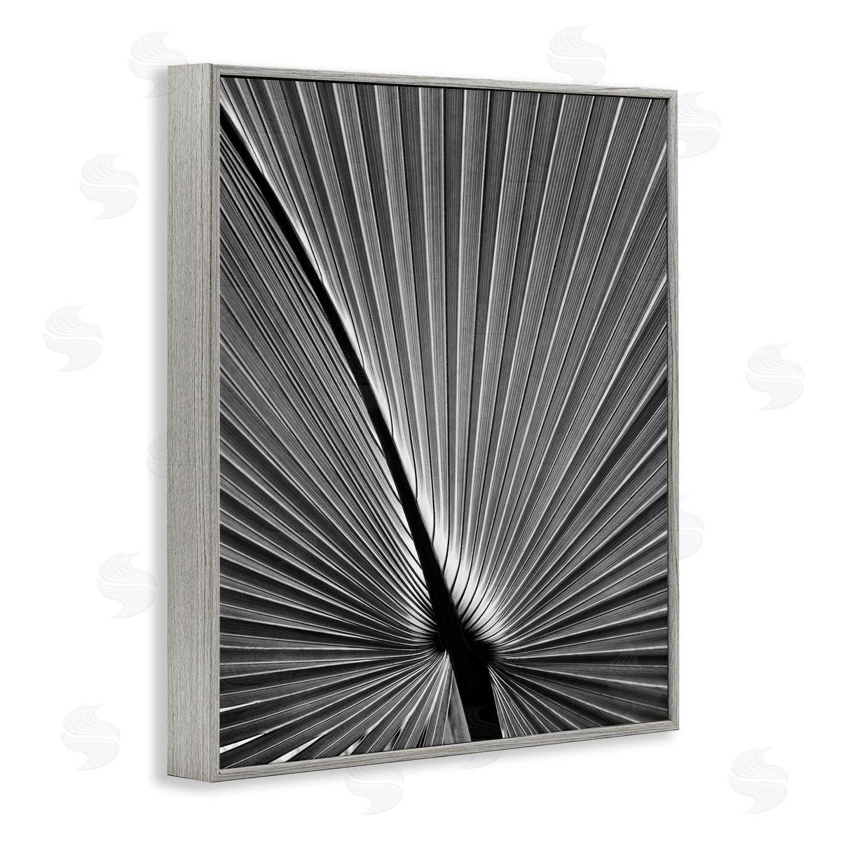 Palm Frond Detail Grey Frame Print Wall Art, Home Decor by Chip Forelli