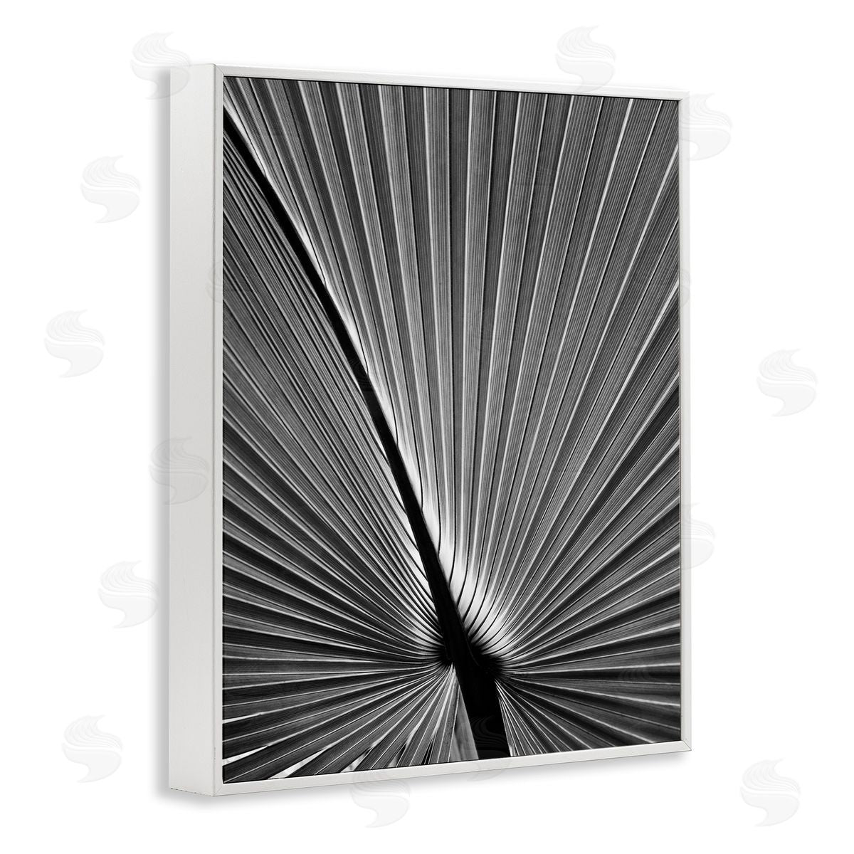 Palm Frond Detail White Frame Print Wall Art, Home Decor by Chip Forelli