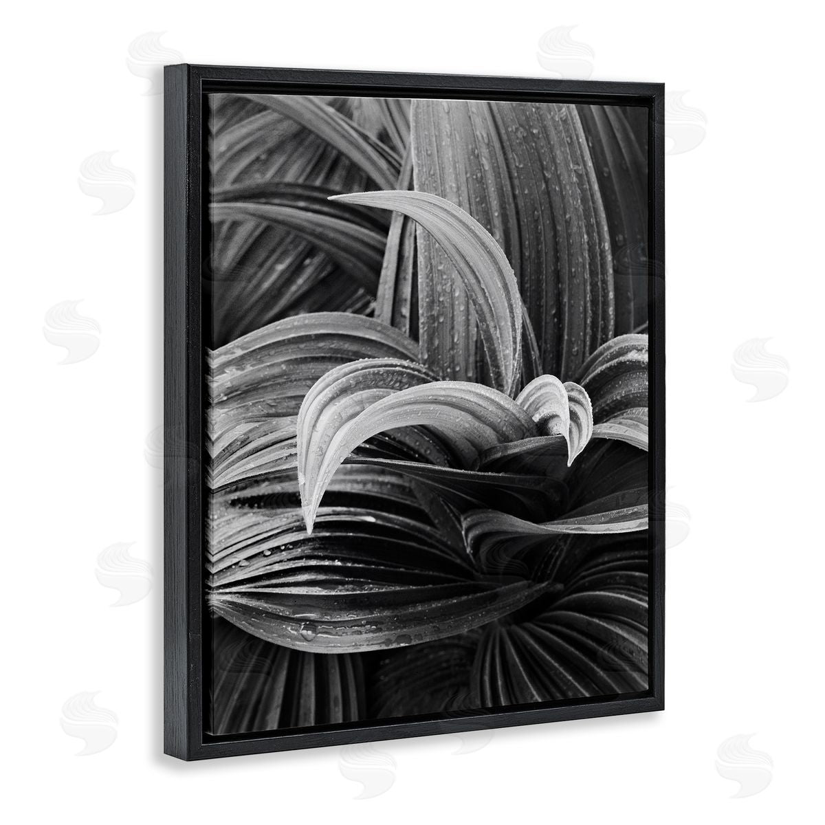 Wet Leaves Detail Black Floating Frame Canvas Wall Art, Home Decor by Chip Forelli