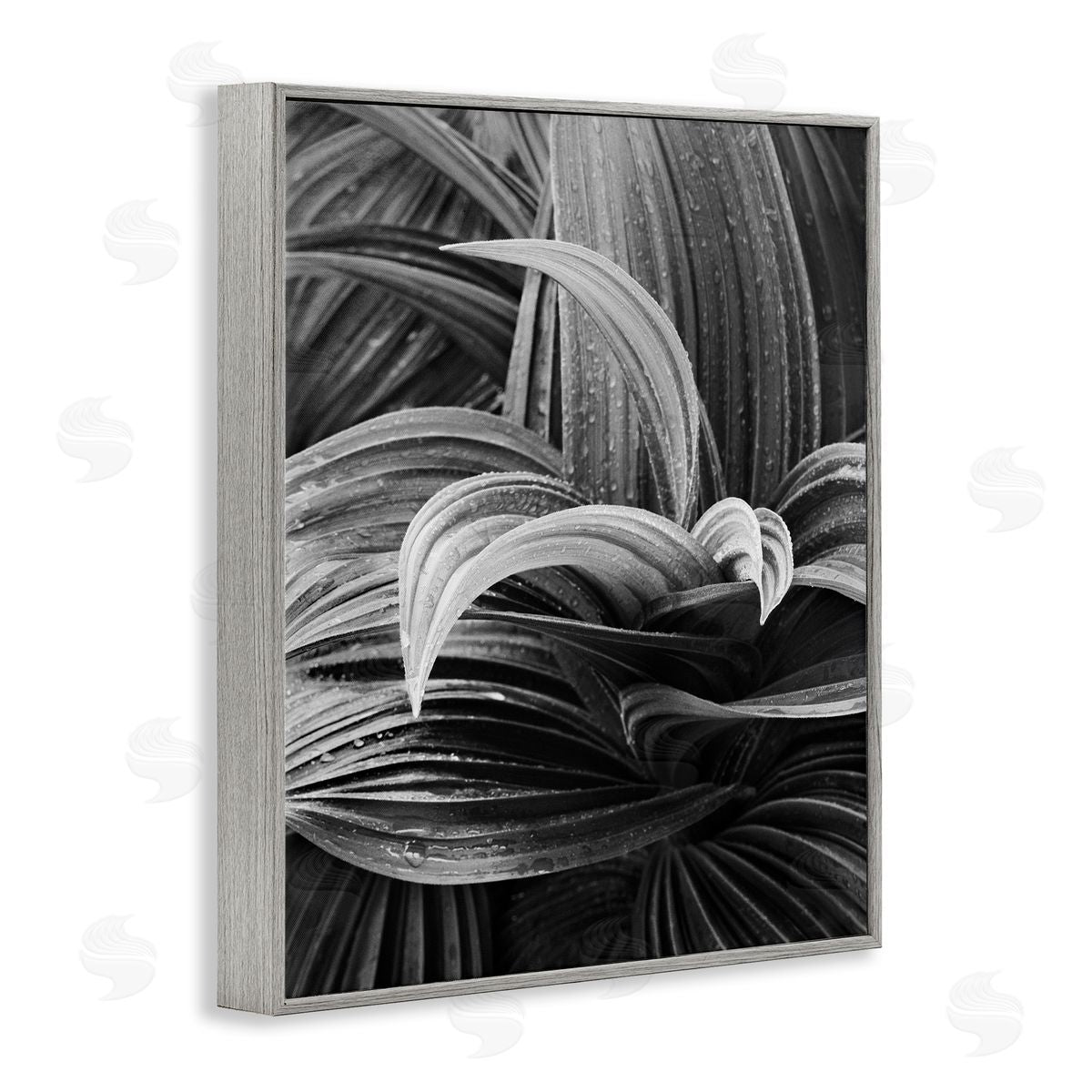 Wet Leaves Detail Grey Frame Print Wall Art, Home Decor by Chip Forelli