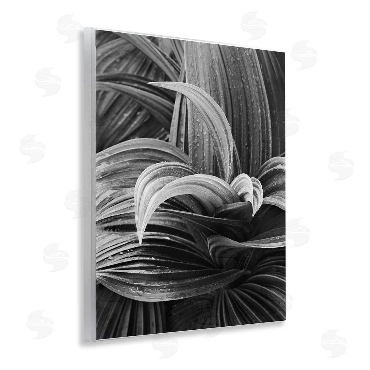 Wet Leaves Detail Wood Plaque Wall Art, Home Decor by Chip Forelli