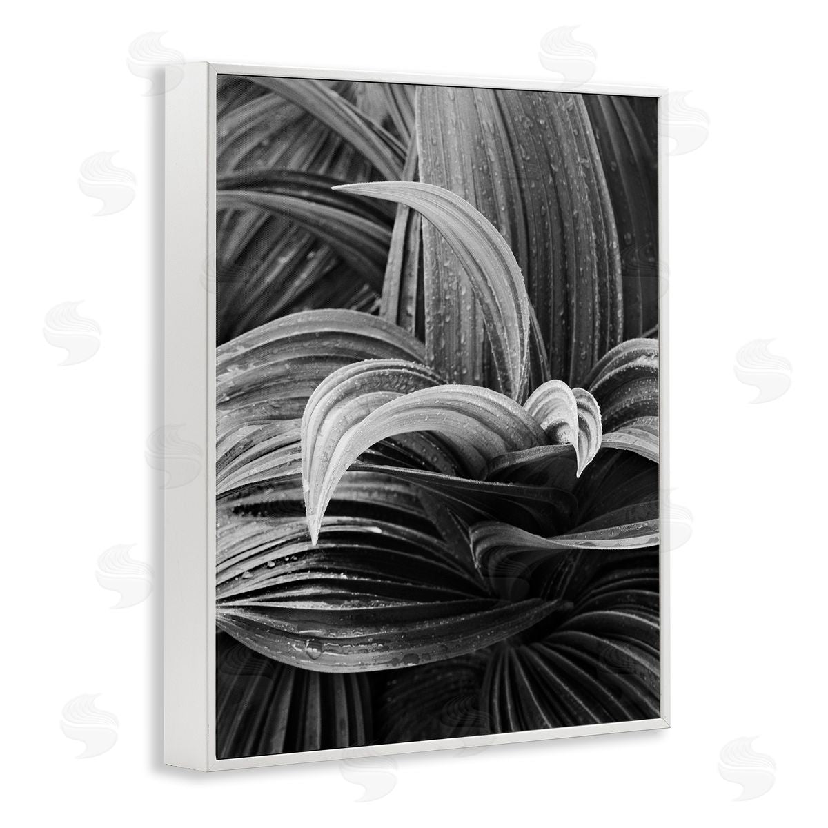 Wet Leaves Detail White Frame Print Wall Art, Home Decor by Chip Forelli